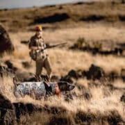 A hunter walks up on a dog on point while upland bird hunting Oregon for chukar