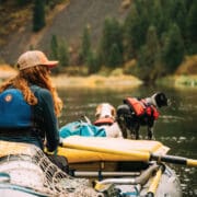 a woman rafts down a river with her bird dogs in pursuit of ruffed grouse.