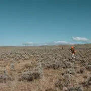 Bird hunters walk along while hunting Sage Grouse in Wyoming