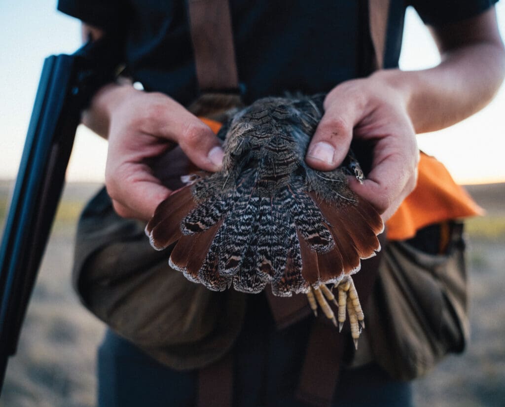 A successful hun hunt in North Dakota