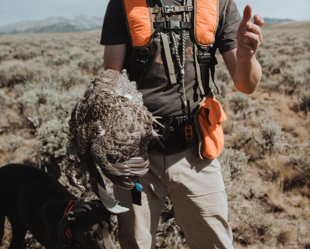 A successful sage grouse hunt in wyoming