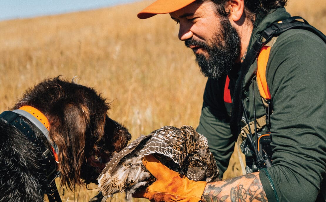 A Guide to Wild Pheasant Hunting in North America - Project Upland