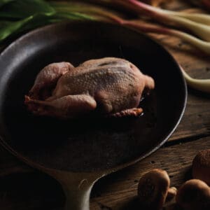 A perfectly prepped and plucked woodcock for roasting