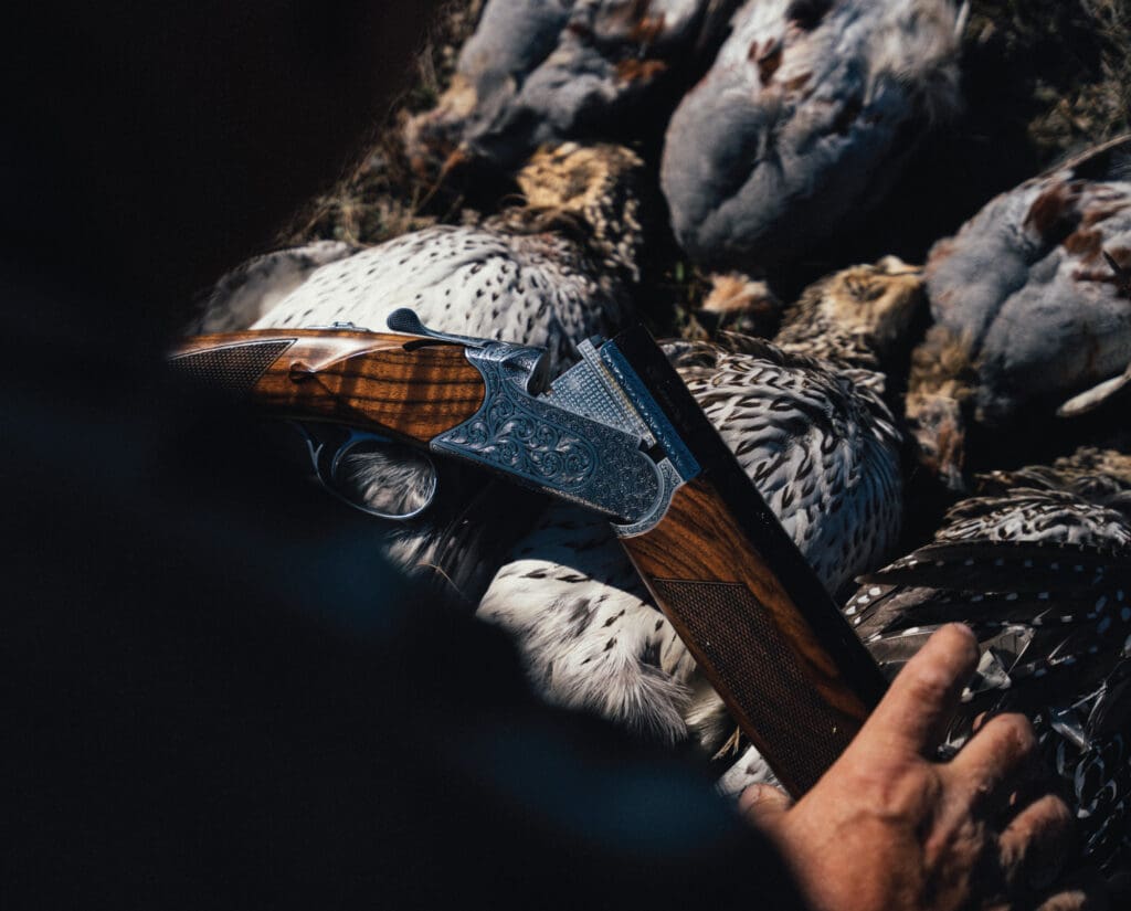 A limit of sharptail grouse shot in North Dakota