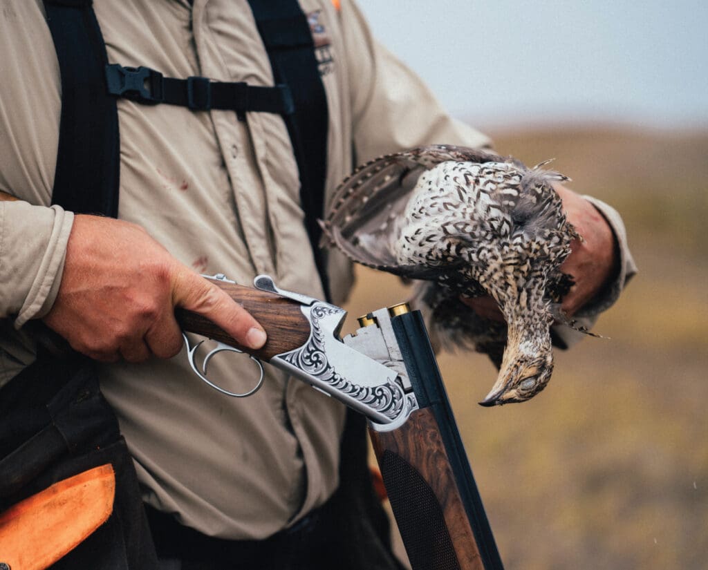A successful sharptail grouse hunt