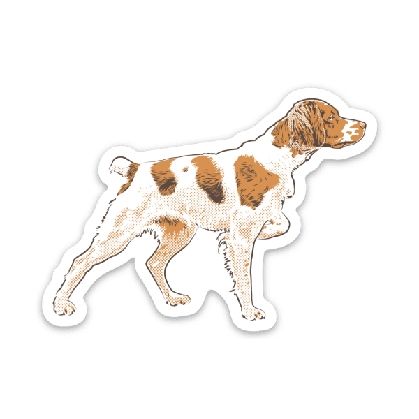 A dog sticker of a Brittany on premium vinyl