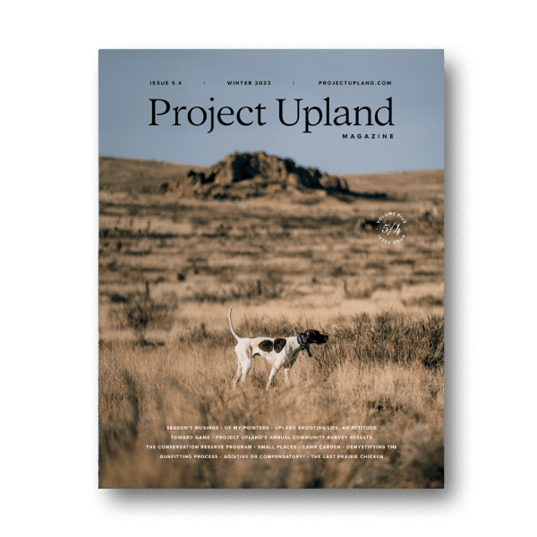 The winter 2024 cover of Project Upland magazine features a Pointer on the New Mexican landscape