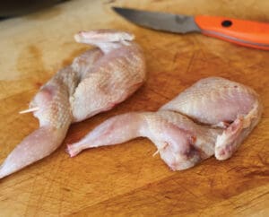 Quail meat properly prepped for frying