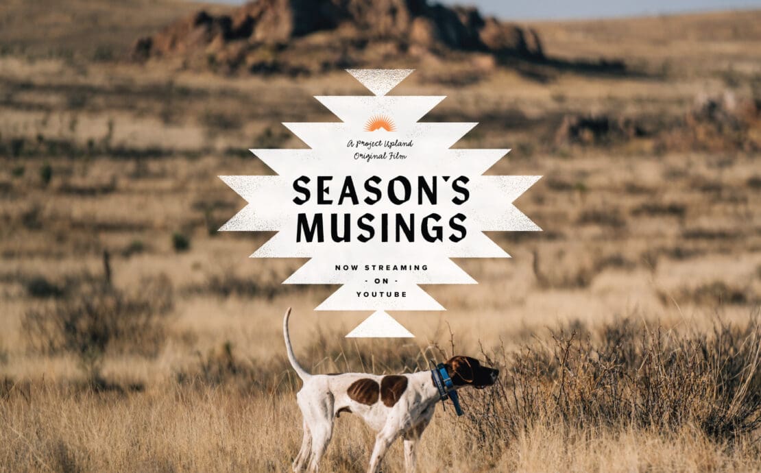 Bird Hunting in New Mexico for Scaled Quail with a dog
