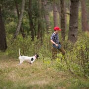 A youth dog handler flushes a bobwhite quail with a dog on point