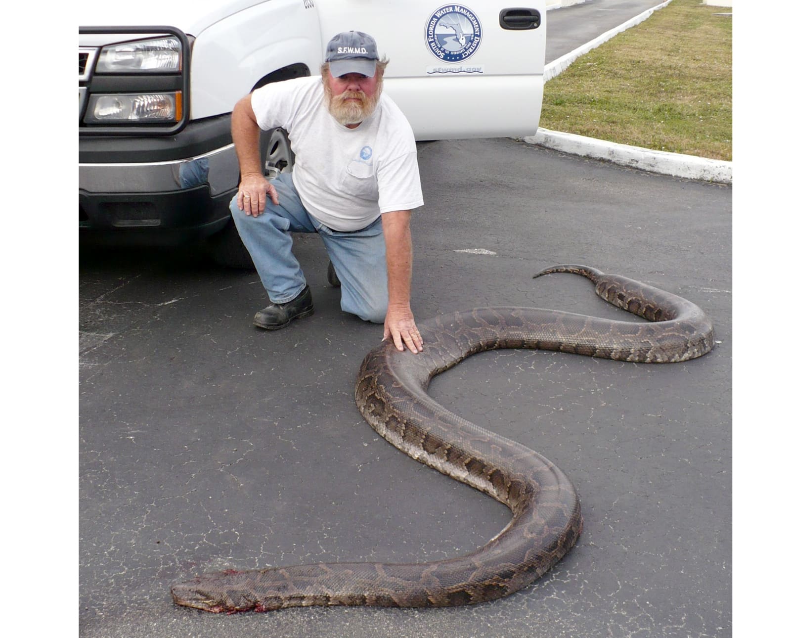 Biologist-with-Invasive-Python - Project Upland
