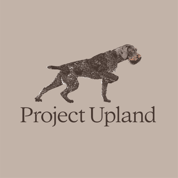 Close up of German Wirehaired Pointer tee shirt design