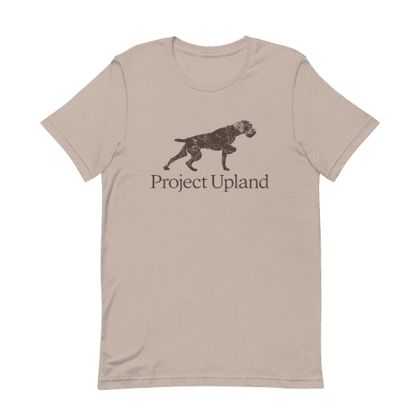 A German Wirehaired Pointer on an elegant point on a tan t-shirt