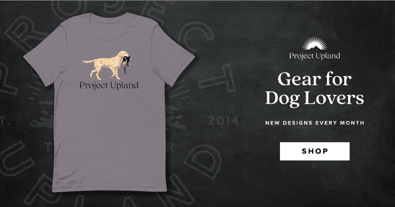 Labrador Retriever Gear
