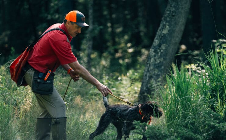 A man holds a leashed German Wirehair Pointer.