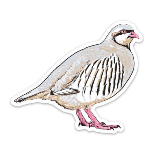 Wild Chukar Stickers - Premium Weatherproof Vinyl