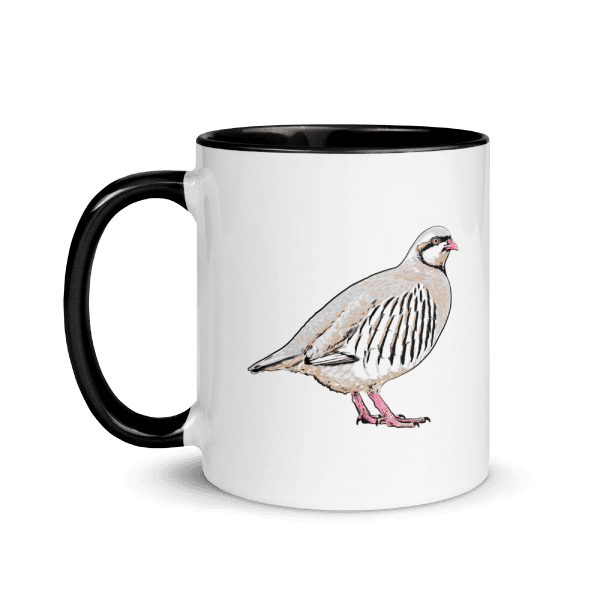 A wild chukar on an 11 oz coffee mug