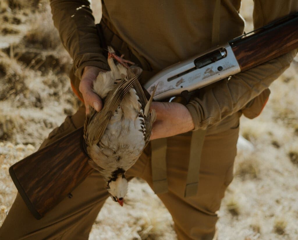 A chukar hunter holds a chukar he got while hunting. 