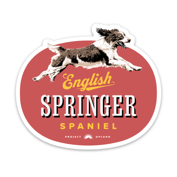 An English Springer Spaniel sticker made on premium weatherproof material.