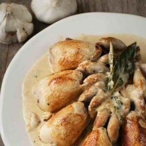 Roasted quail in a creamy garlic sauce on a white plate