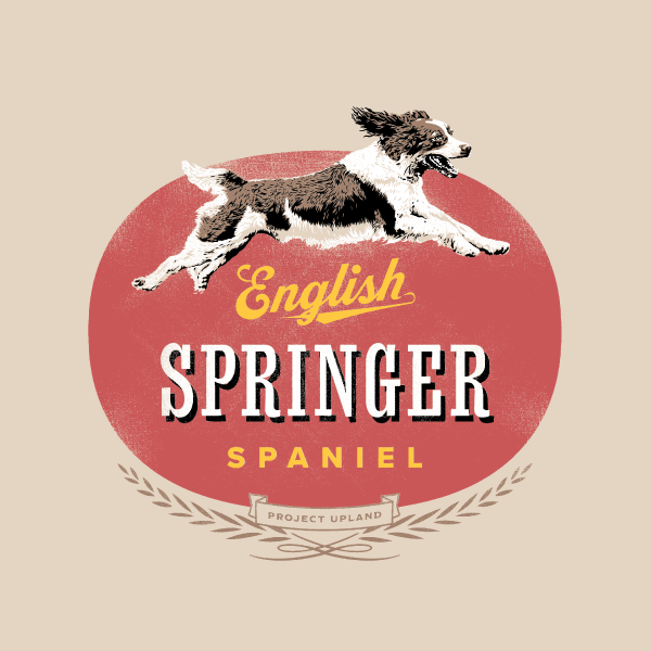 Close up of the English Springer Spaniel design