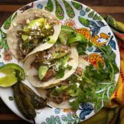 Prepared tacos using cottontail rabbit meat on a colorful plate