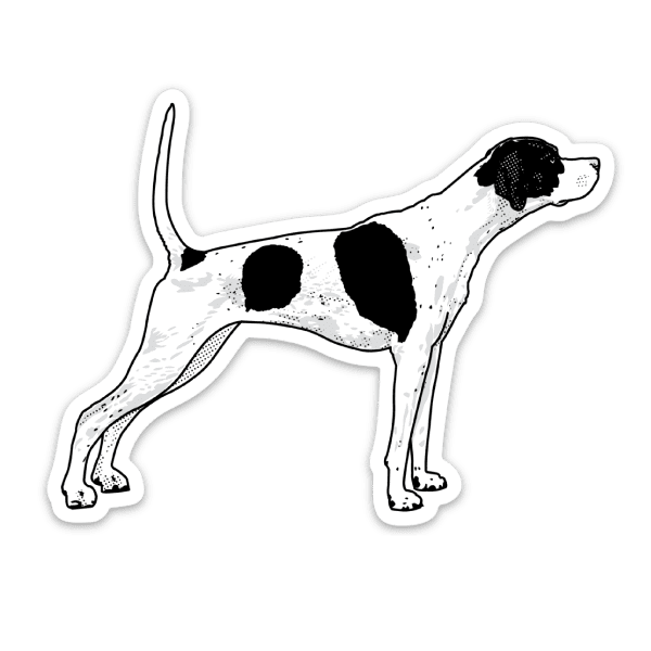A pointer dog sticker with American breeding influence.