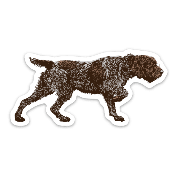 Wirehaired pointing griffon sticker.