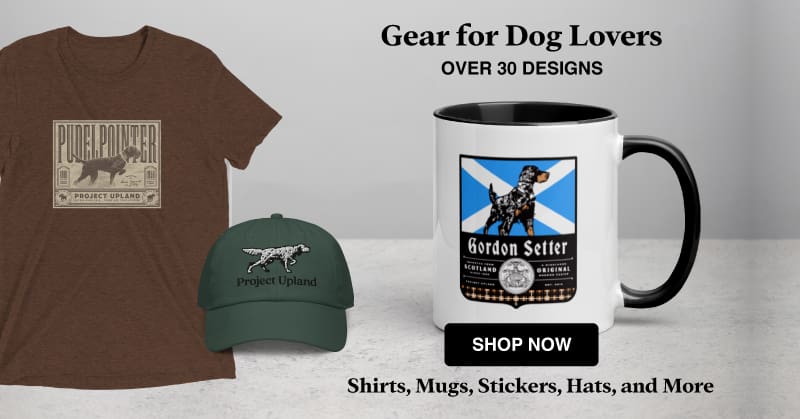 Dog Gear Ad