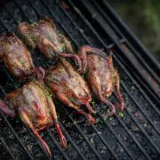 Pellet grilled doves with a spicy tequila glaze