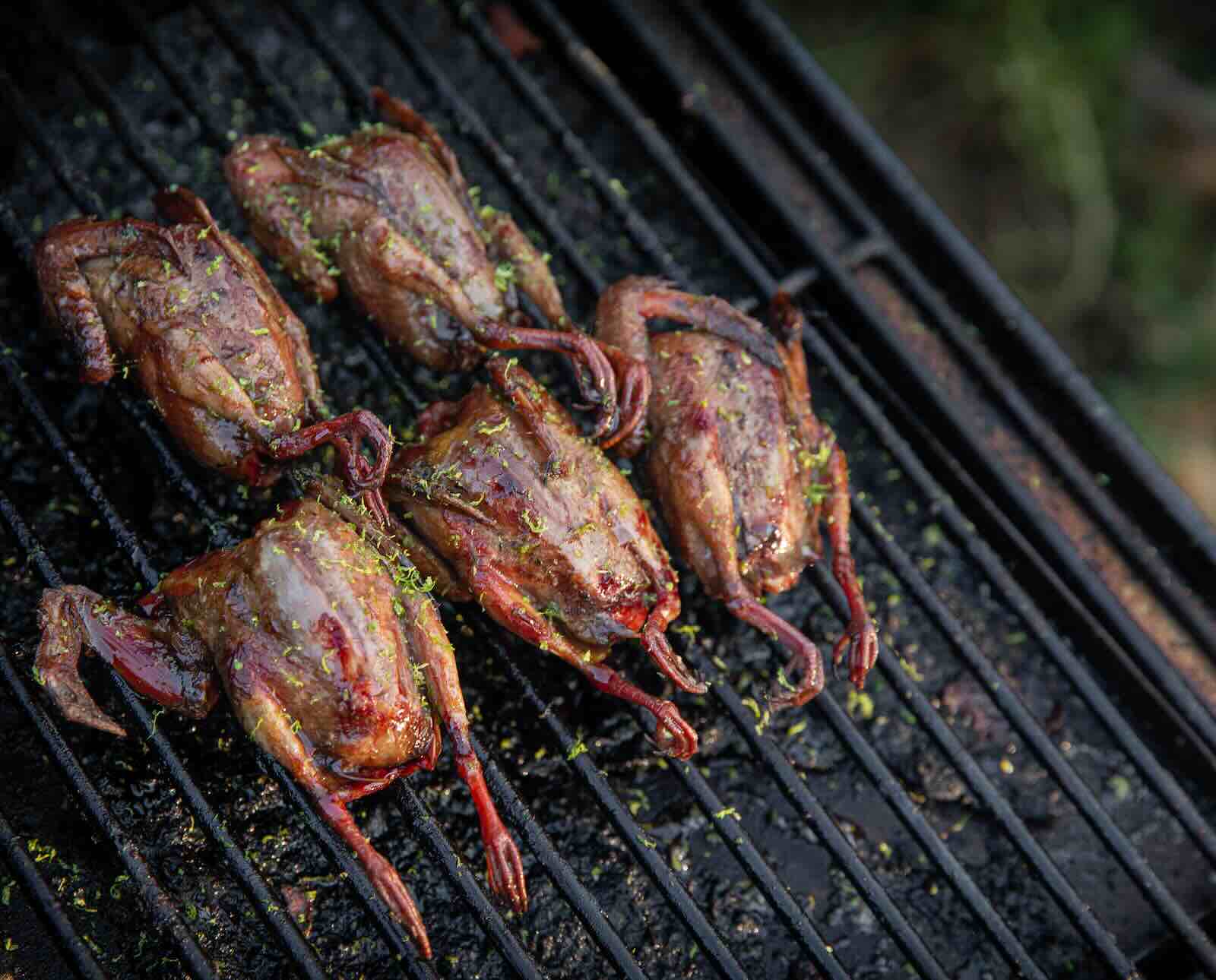 Pellet grilled doves with a spicy tequila glaze