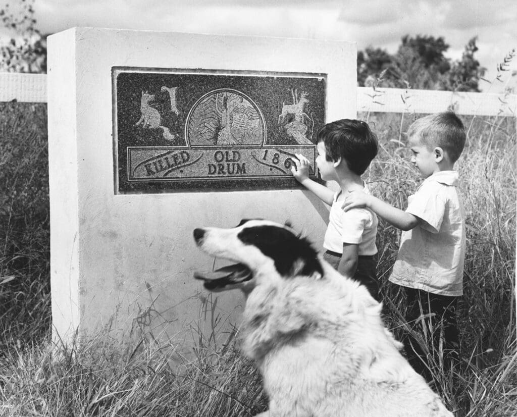 Old Drum the Foxhound gravestone.