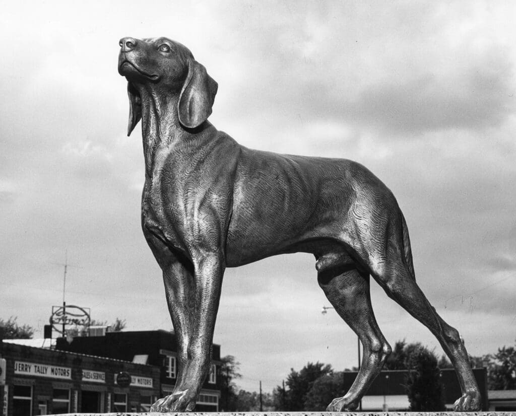 A statue of Old Drum the foxhound