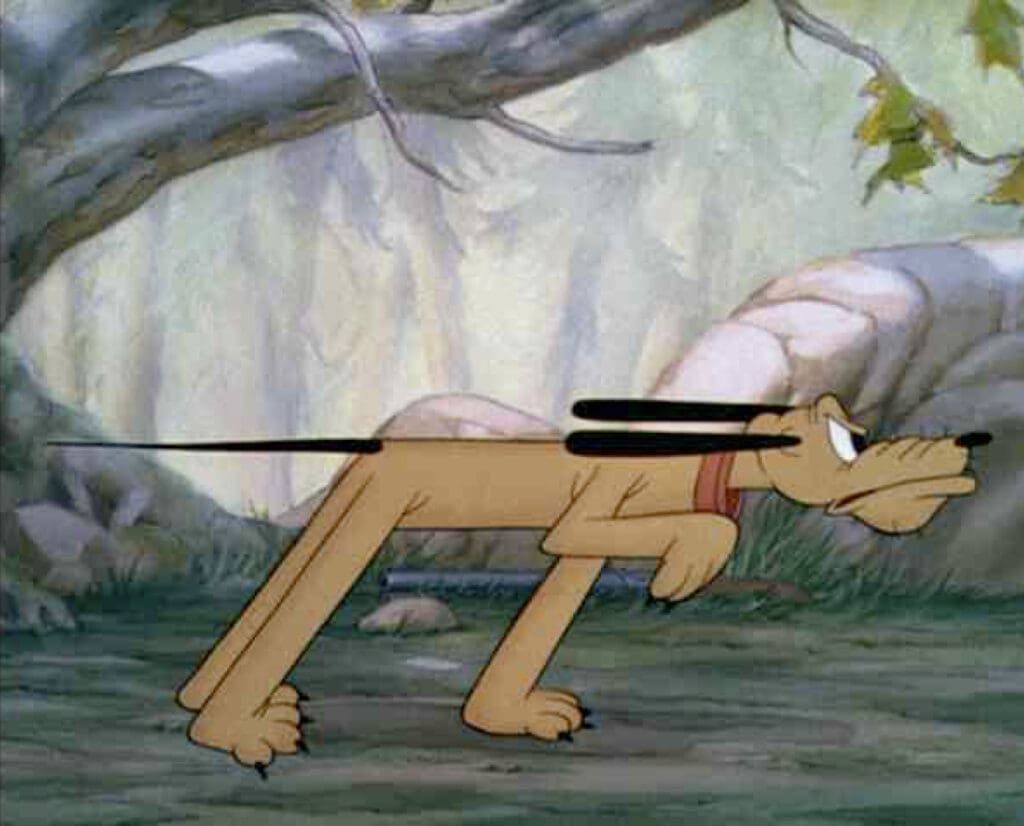 Pluto the Disney Dog on point while hunting