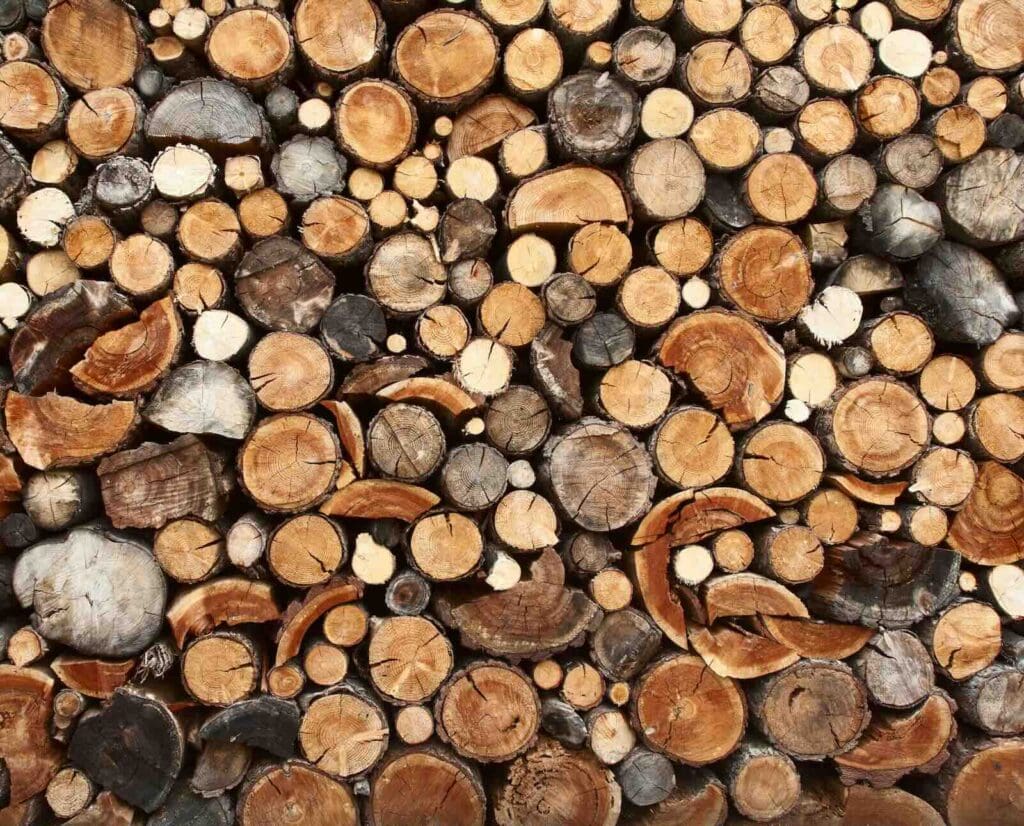 A frame-filling view of stacked firewood logs of various types and sizes