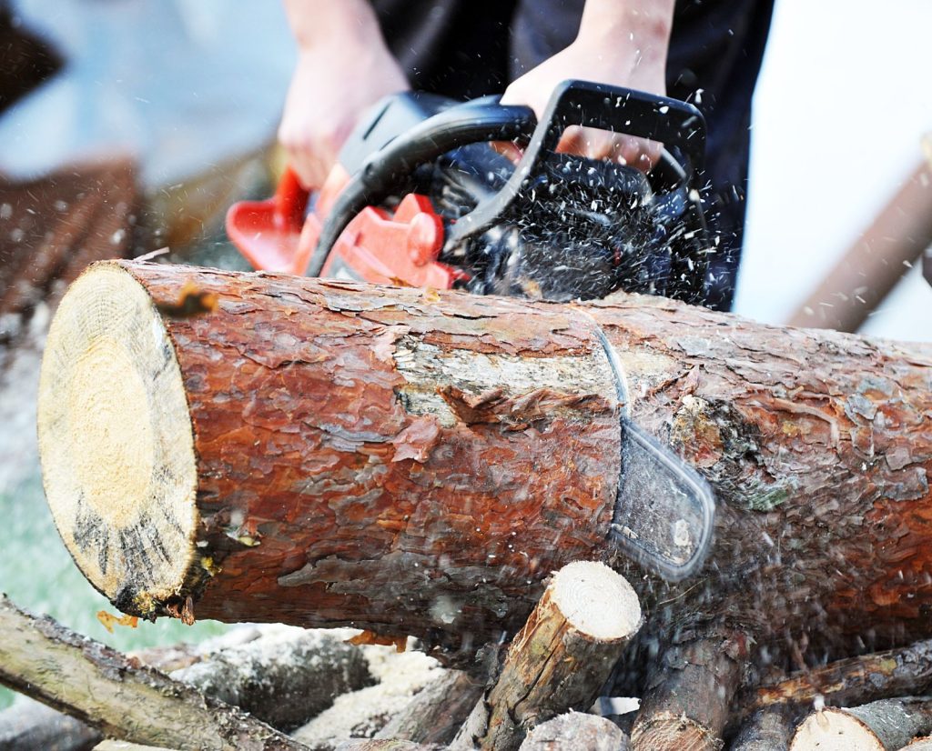 A man uses a chainsaw to cut firewood into rounds for splitting.