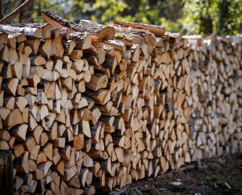 Birch and pine firewood stacked neatly.
