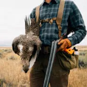 A Sage grouse hunter in the west