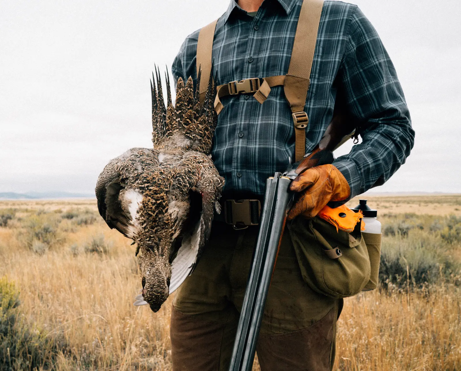 A Sage grouse hunter in the west