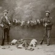 Two American hunters, one with a Pointer and the other with an English Setter.