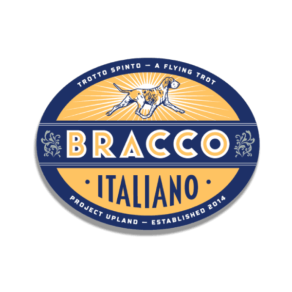 Bracco Italiano Sticker