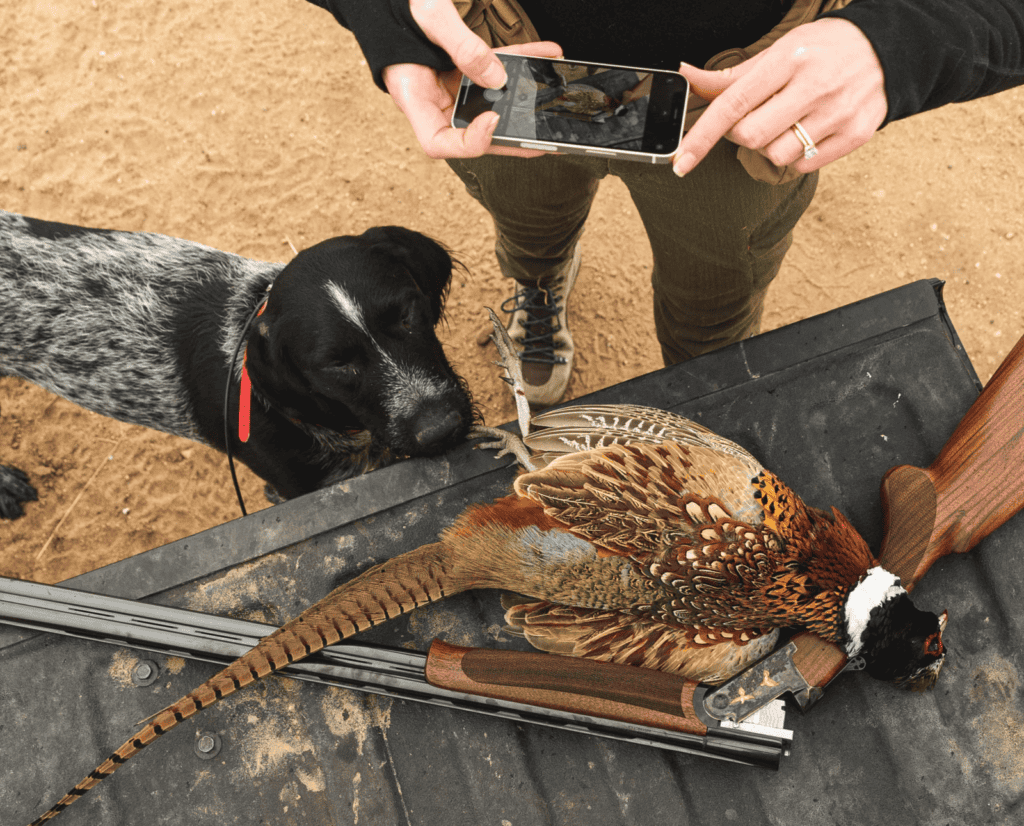 A pheasant is photographed on a tailgate next to a dog.