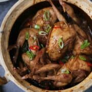 Whole quail braised in ginger served in a Vietnamese clay pot