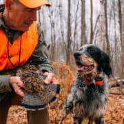 Author Mark Parman with his English Setter while bird hunting.