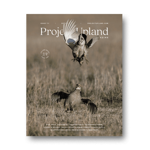 Spring 2025 cover of Project Upland Magazine