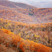 George Washington National Forest in the fall.