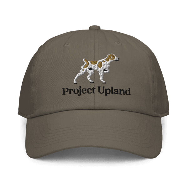 A Brittany dog embodied on a dad hat