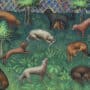 Early painting depicting various types of dogs and their uses.