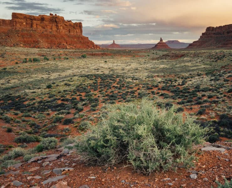 A beautiful scene from the Valley of the Gods in Bears Ears National Monument.