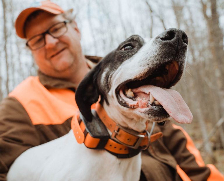 An upland bird hunter in Minnesota hunting woodcock and ruffed grouse with a Pointer